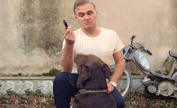 morrissey-world-peace-is-no
