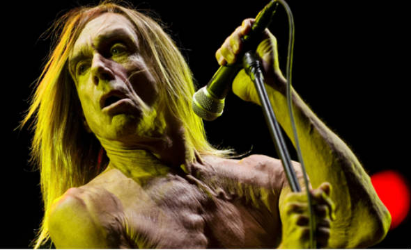 Iggy-Pop630x300