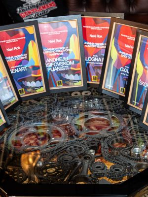 0. nagrade 25 - foto Bojan Nikolić Zvezdanac