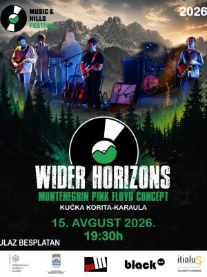 1. WIDER - 2026