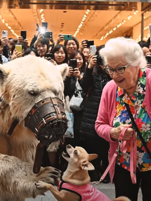 Screenshot 2026-03-13 084900