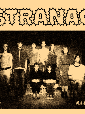 stranac_cover